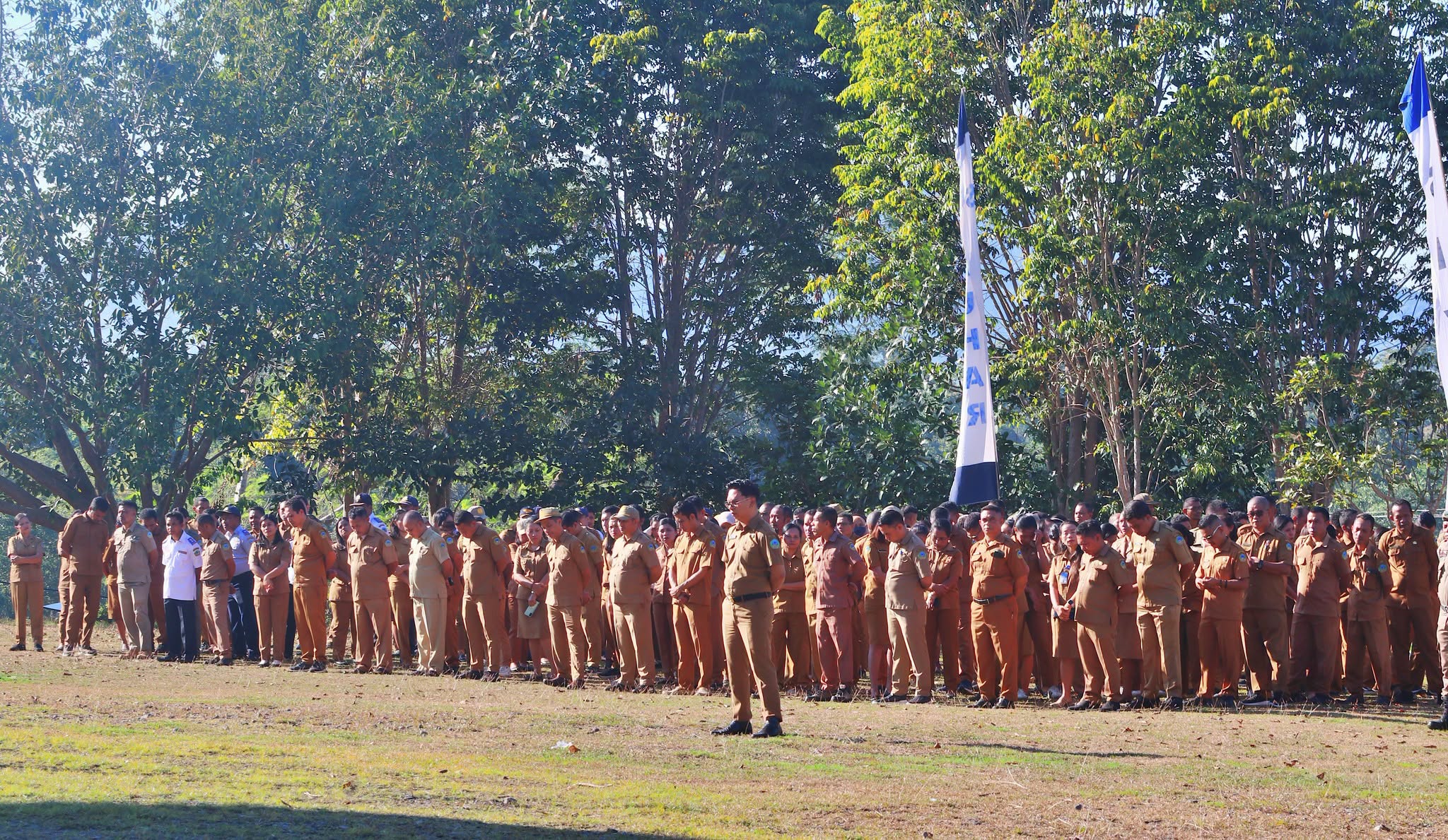 Ultah 3